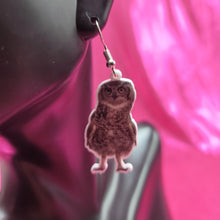 Load image into Gallery viewer, Owl Photograph Earrings
