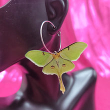 Load image into Gallery viewer, Luna Moth Earrings
